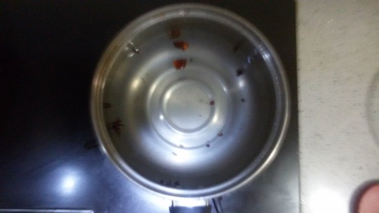 五香黑豆步骤3
