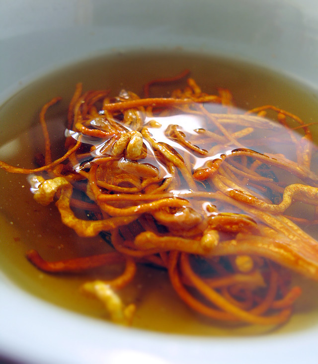 茶汤虫草花燕麦粥——步骤4