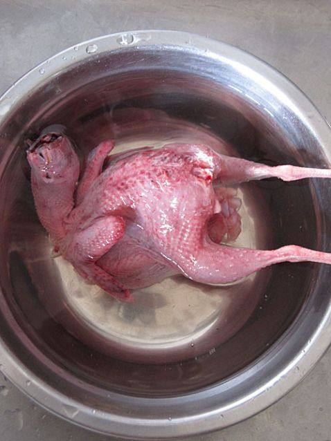 虫草花黄精炖鹌鹑步骤3
