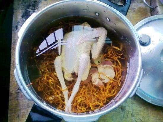 虫草花鸽子汤步骤4