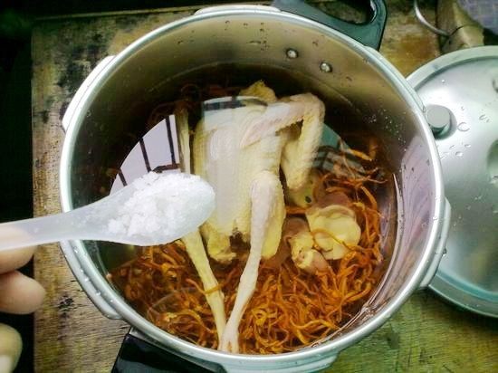 虫草花鸽子汤步骤5