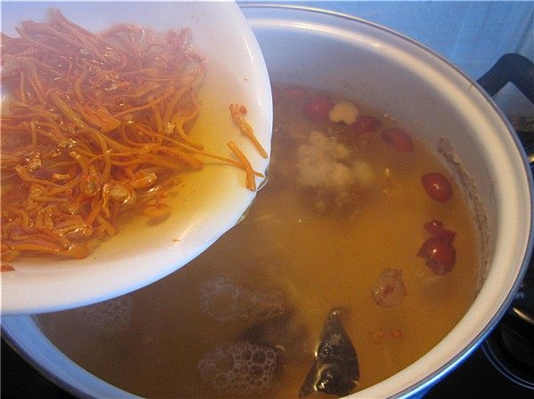 鳄鱼虫草花汤步骤5