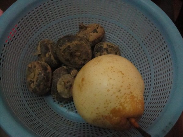荸荠雪梨甜品步骤1