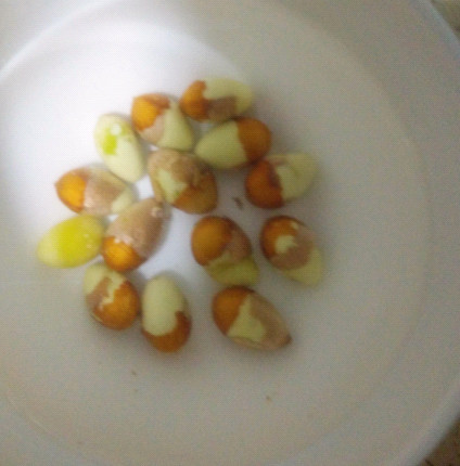 白果炖鸡汤步骤2