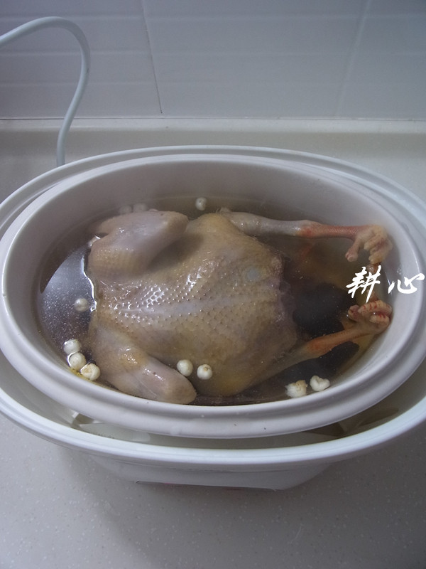黄精川贝母炖老鸽步骤3