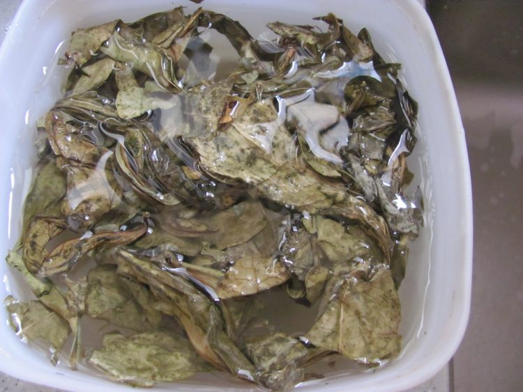 猪肺龙脷叶汤步骤3