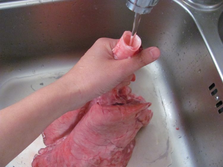 猪肺龙脷叶汤步骤1