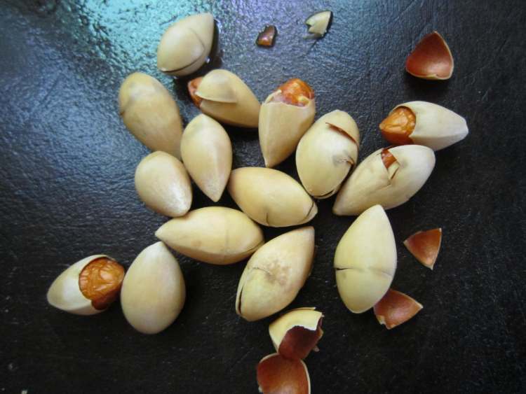 薏米白果筒骨汤步骤3