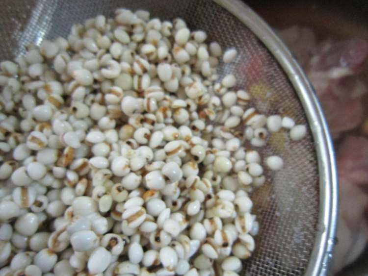 薏米白果筒骨汤步骤5