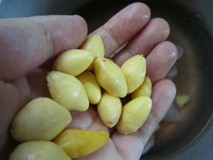 薏米白果筒骨汤步骤4