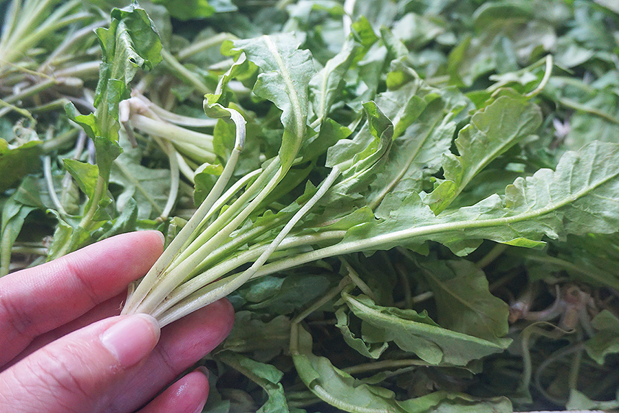 凉拌毛豆荠菜塔步骤1