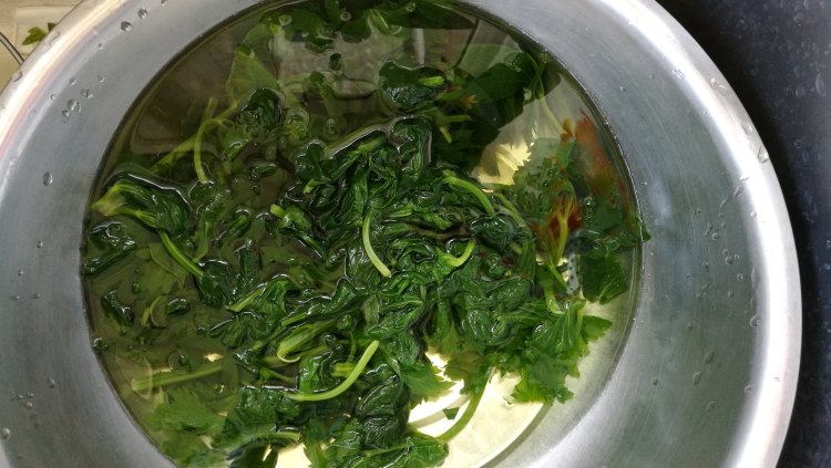 芹菜叶拌豆腐丁步骤3
