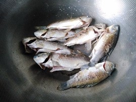 枸杞鱼汤步骤4