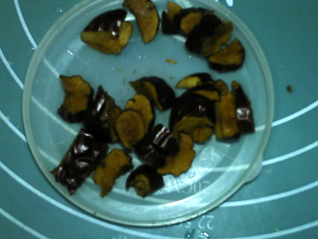 燕麦核桃红枣豆浆步骤3