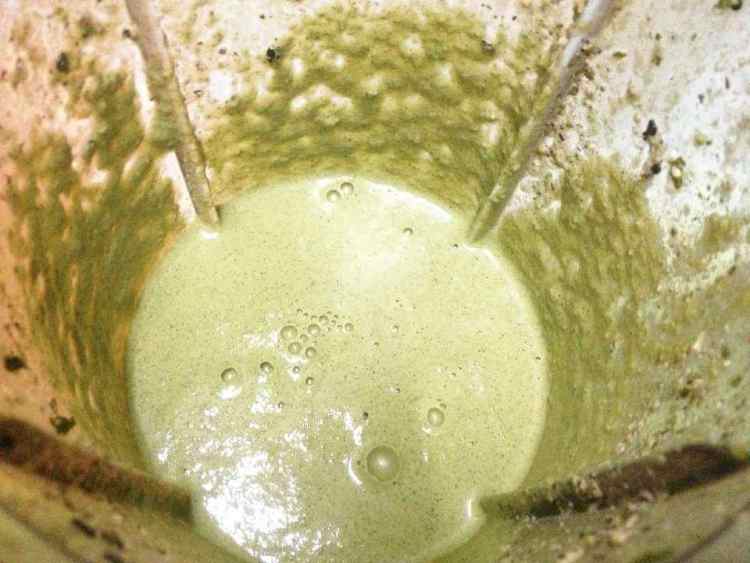 糙米茶粥步骤8