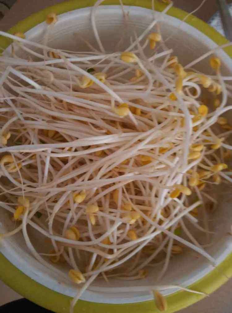 蚝汁黄豆芽步骤2