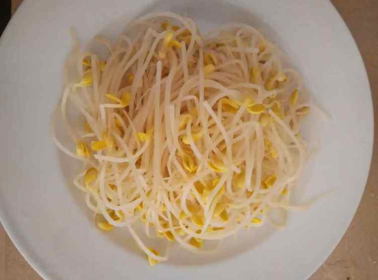 蚝汁黄豆芽步骤4