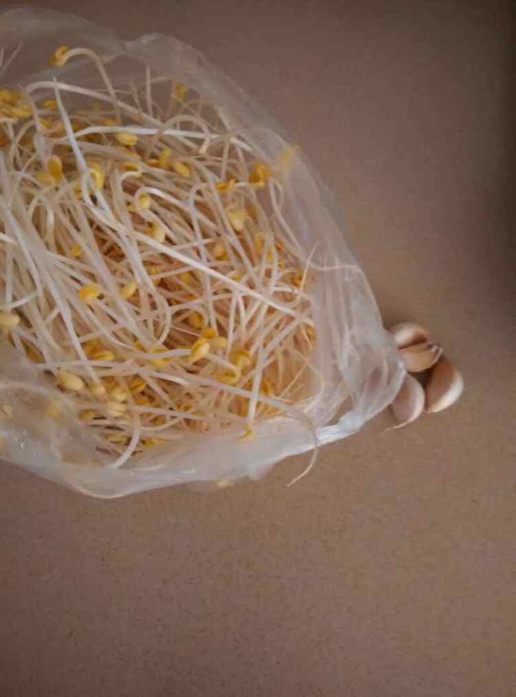 蚝汁黄豆芽步骤1