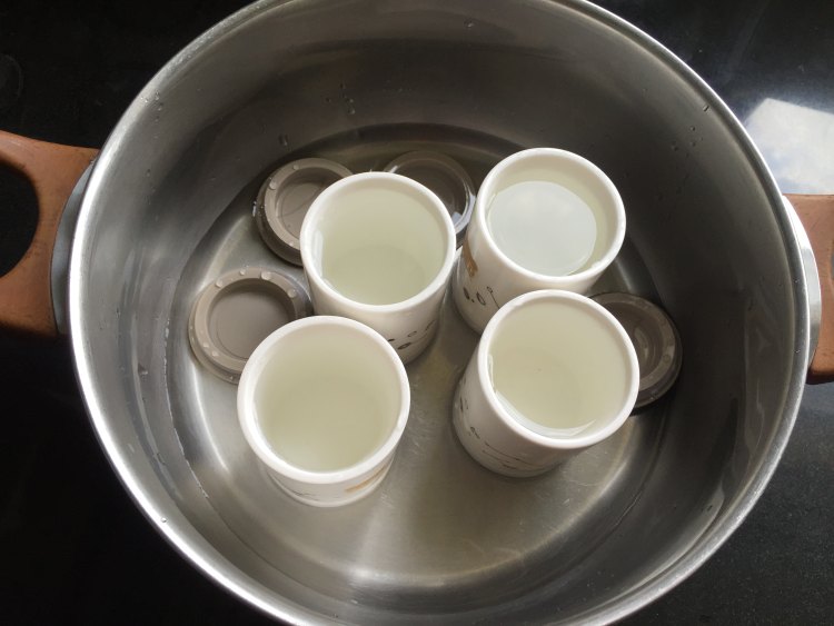 自制多味酸奶步骤2