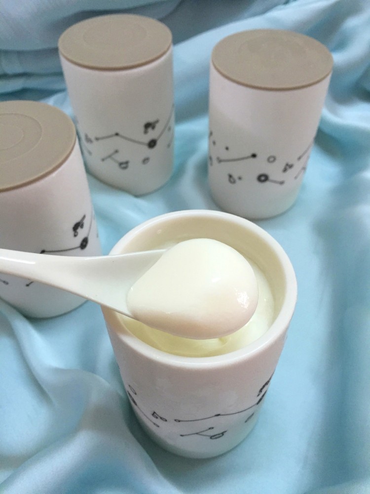 自制多味酸奶步骤8
