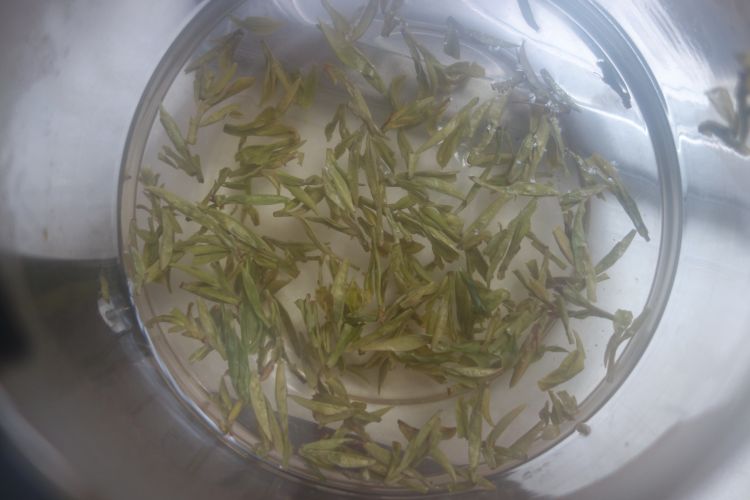 葡萄柚绿茶步骤3