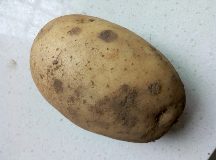葱香土豆泥步骤1