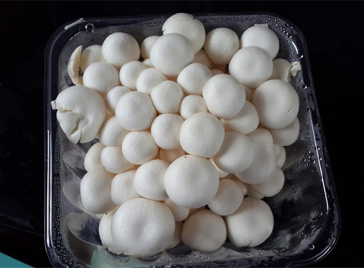 小菌菇炒肉丝步骤1