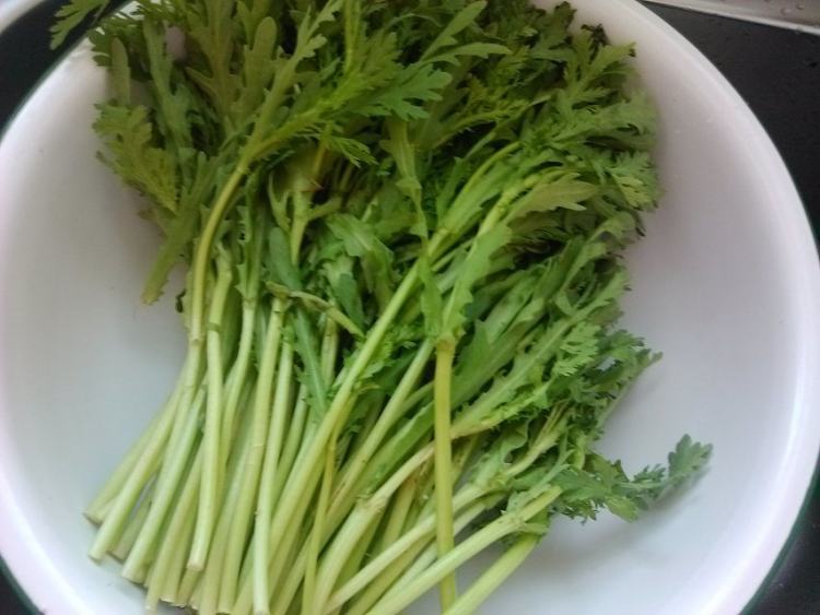 白灼茼蒿步骤1