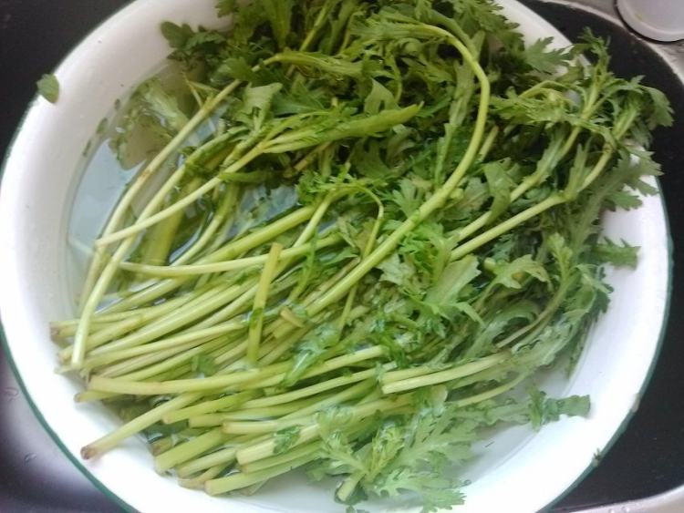 白灼茼蒿步骤2