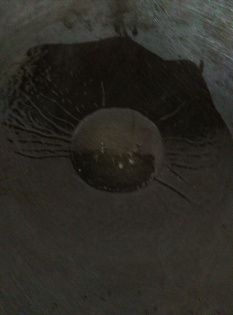 豉汁蒸鱼腩步骤2