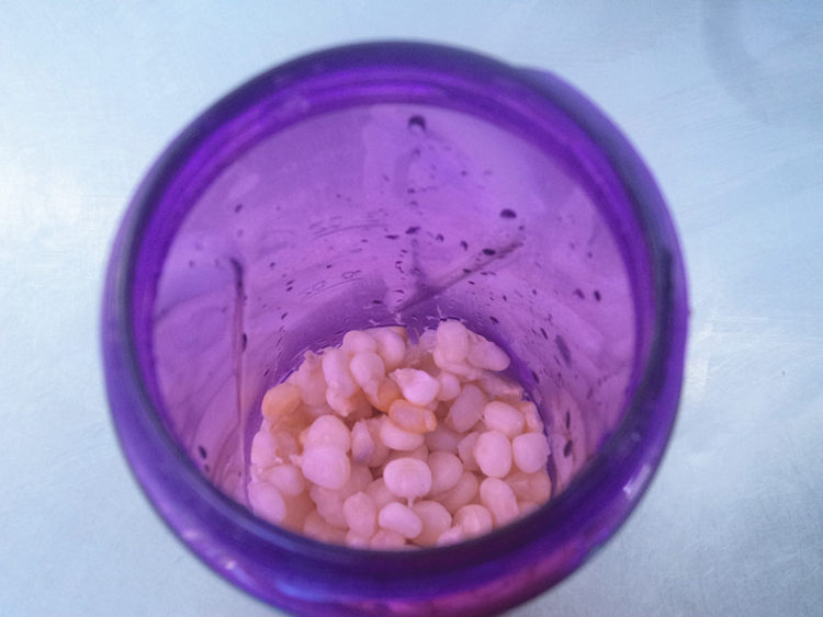 【儿童美食】蜂蜜玉米步骤4