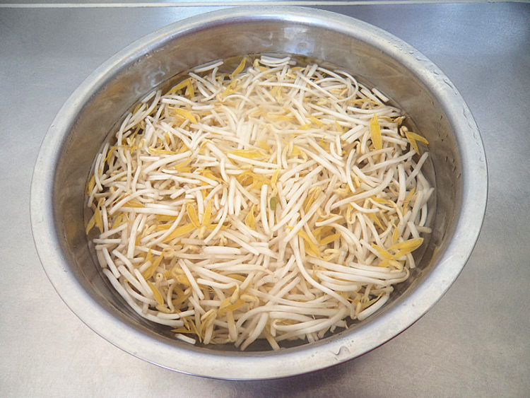 菠菜茎炒豆芽菜步骤1