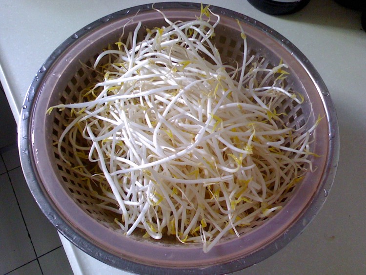 香拌豆芽菜步骤1