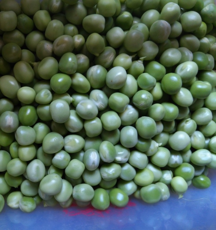 紫菜豌豆鸡汤步骤2