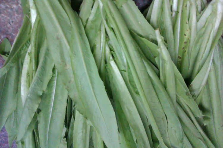 清炒油麦菜步骤1