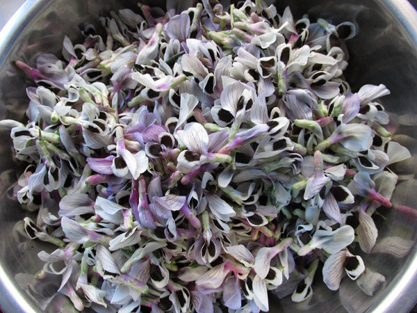 蒸蚕豆花步骤2