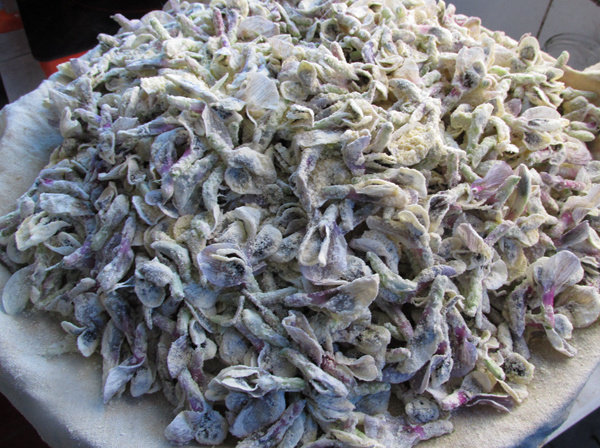 蒸蚕豆花步骤6