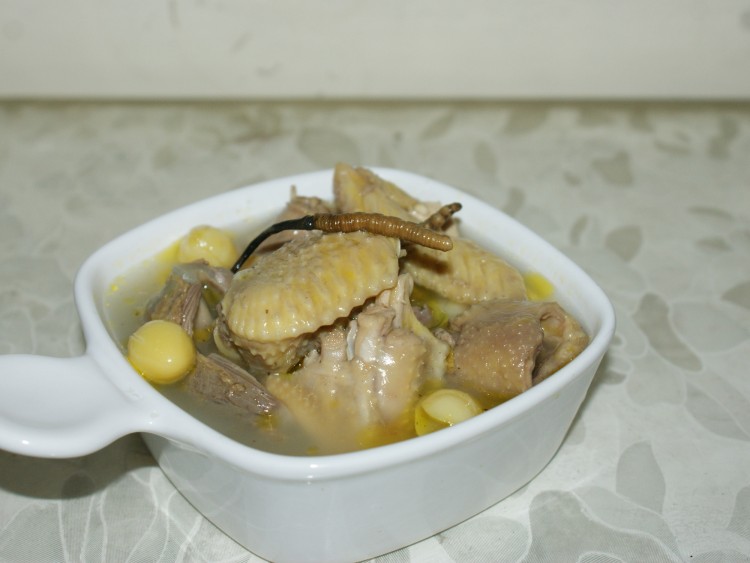 虫草白果炖土鸡步骤8
