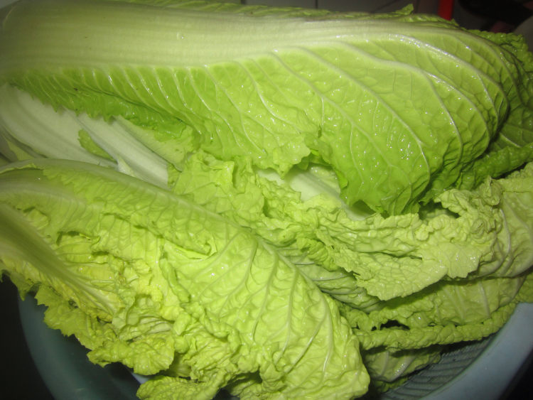蚝油白菜鸡片步骤1