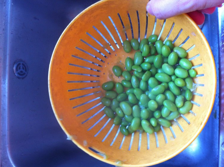 毛豆鸡丝步骤5
