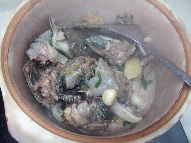 炖甲鱼汤步骤5