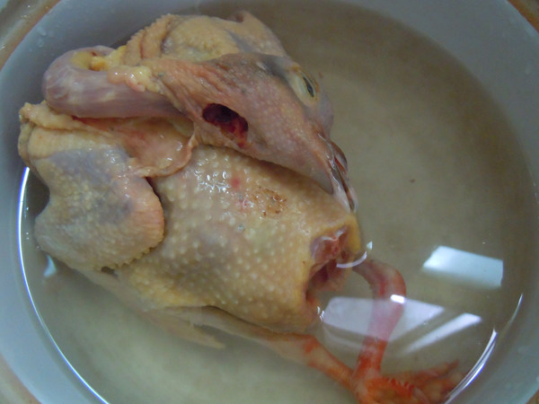老鸽煲绿豆步骤3
