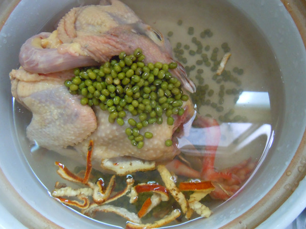 老鸽煲绿豆步骤4