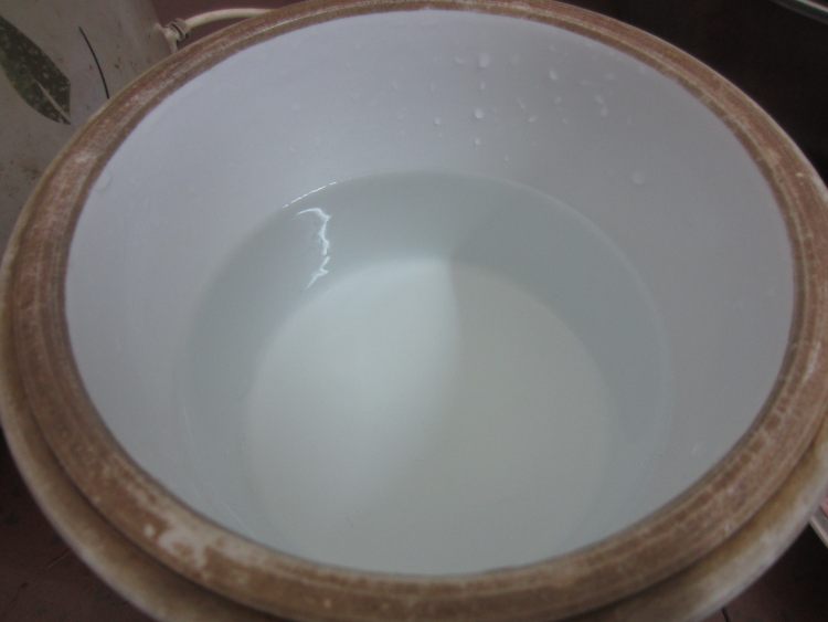 太子参玉竹炖瘦肉步骤6