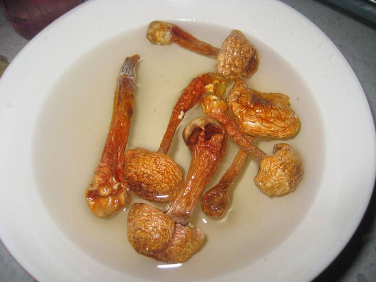 松茸银耳瘦肉汤步骤2
