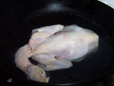 枸杞鸡汤煲步骤3