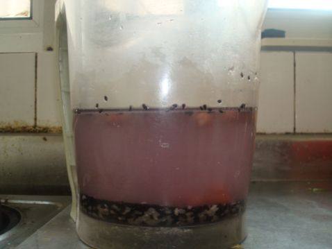 黑米花生粥步骤5