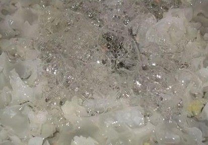 凉拌木耳银耳步骤3