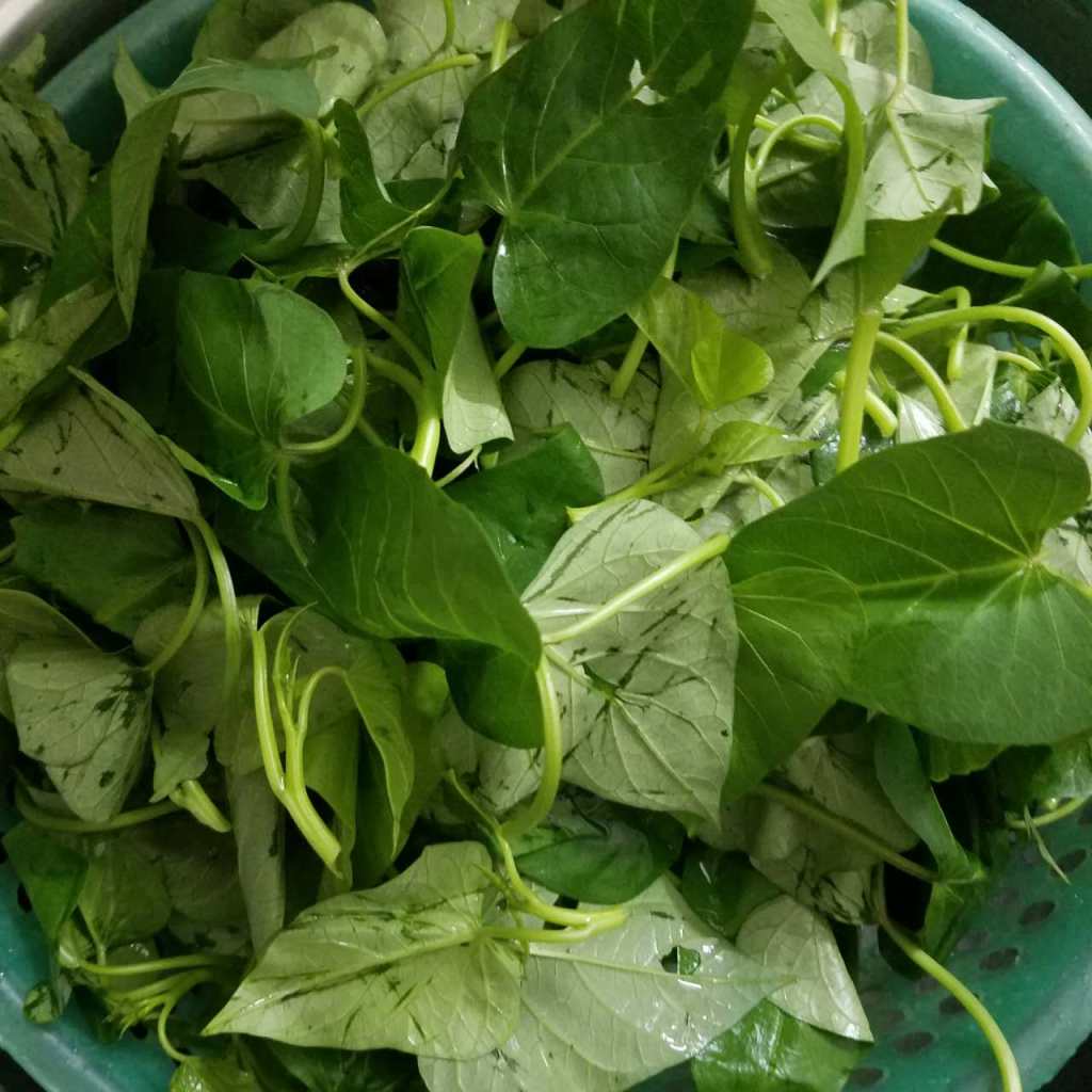 蒜蓉炒红薯叶步骤3