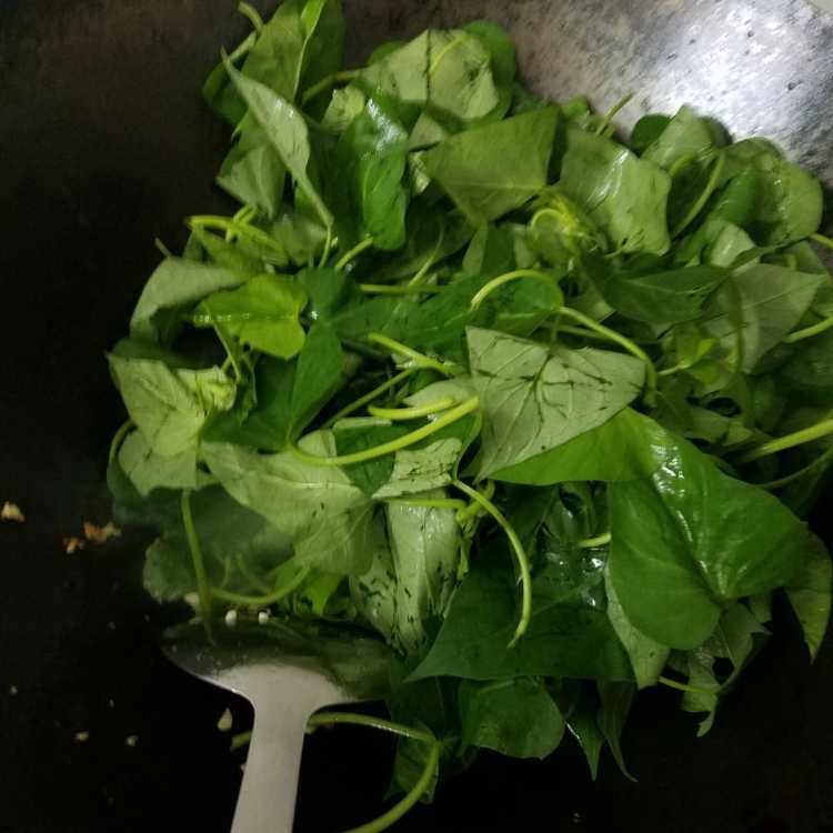 蒜蓉炒红薯叶步骤6